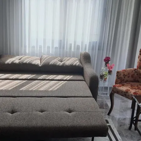 Sanat Sokagi Bahceli Ev *