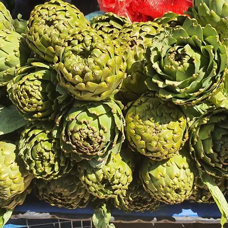 Apartamento Sanat Sokagi Bahceli Ev *