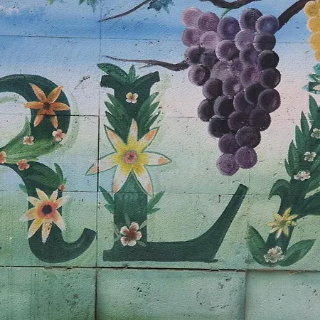 Sanat Sokagi Bahceli Ev * Urla