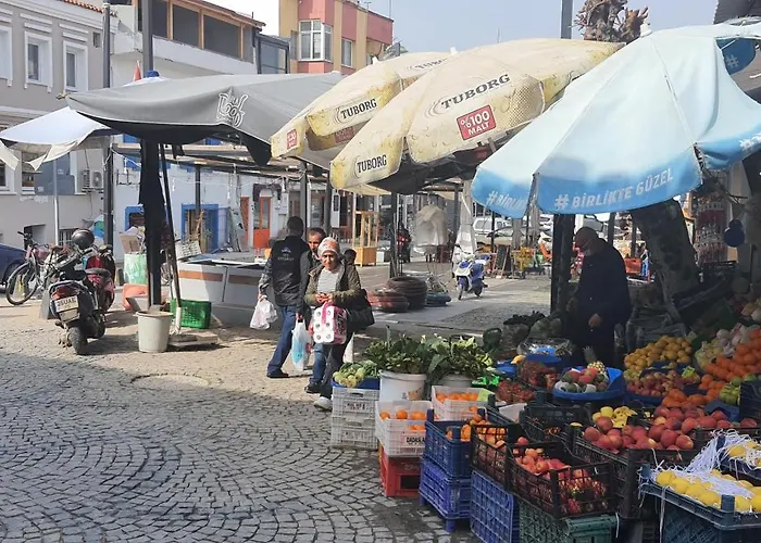 Sanat Sokağı Bahçeli Ev Urla