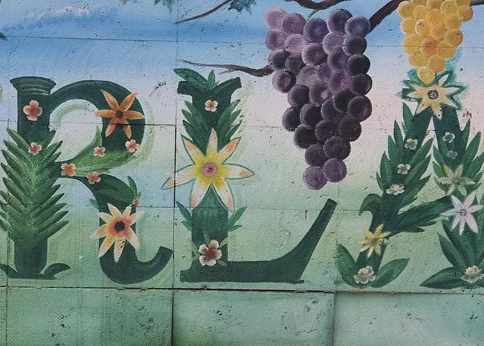 Sanat Sokağı Bahçeli Ev * Urla